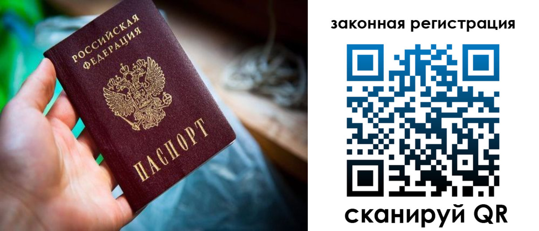 прописка в Мурманской области